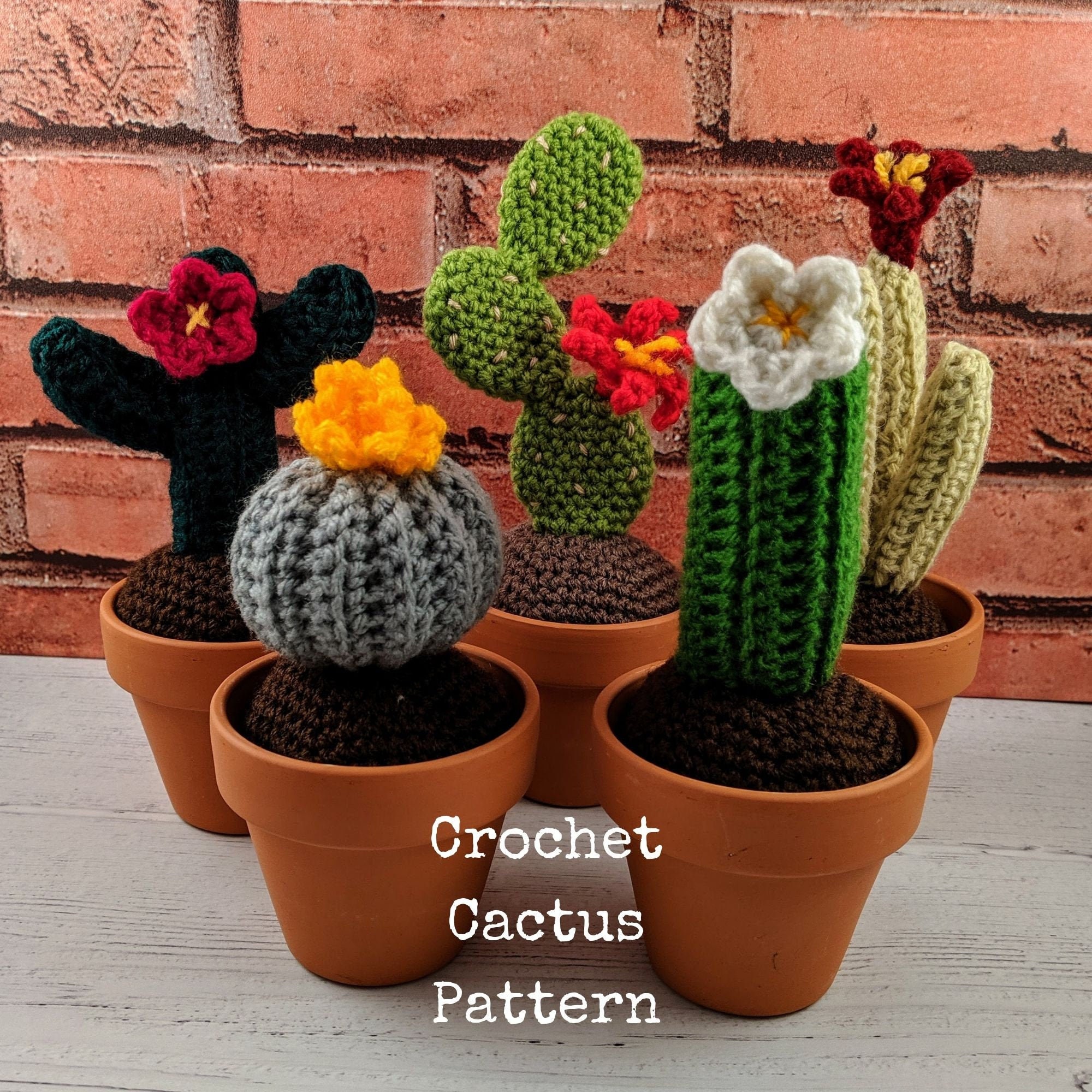 39 Free and Paid Crochet Cactus Patterns You’ll Want To Try 10 Small cactus crochet