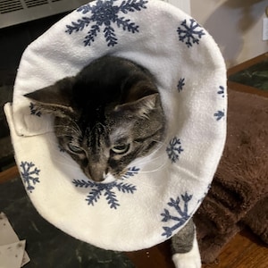 May include: A tabby cat wearing a white and blue snowflake-patterned Elizabethan collar. The cat has green eyes and is looking down. The collar is made of a soft, plush material.