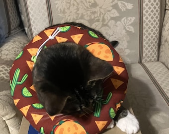May include: A cat wearing a taco-themed recovery collar. The collar is burgundy with a pattern of tacos, lime slices, and cactus plants. The cat is black and white, with its head inside the collar.
