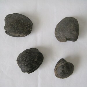 May include: Four dark gray, irregularly shaped stones are arranged on a white surface. The stones have a rough, textured appearance, with visible cracks and crevices. The overall impression is of natural, weathered objects.