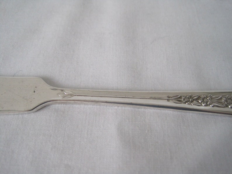 Set of Two American Silverplate Flat-Handled Butter KnivesButter Spreaders in DELIGHT