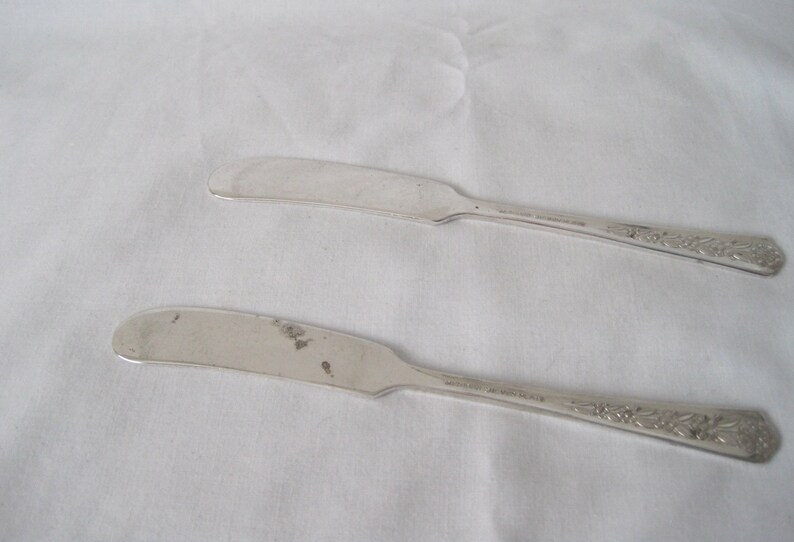 Set of Two American Silverplate Flat-Handled Butter KnivesButter Spreaders in DELIGHT
