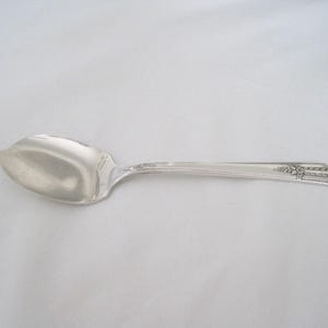 May include: A silver serving spoon with a wide, shallow bowl and a long, slender handle. The handle has a decorative floral design near the end. The spoon is made of a shiny, reflective metal, probably silver or a silver-coloured alloy.