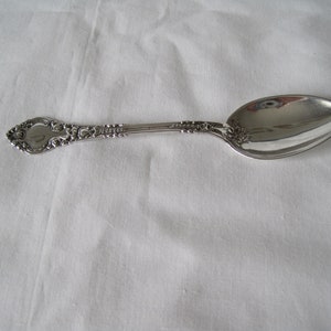May include: A silver spoon with an ornate handle and a reflective bowl. The handle features detailed floral and scrollwork designs. The spoon is set against a white background, highlighting its polished surface and intricate craftsmanship.