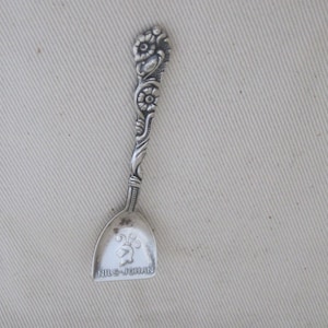 以下が含まれることがあります： 柄に花の模様、すくう部分に「NILS-JOHAN」の文字が入った銀色のスプーン。柄には花と葉の精巧な彫刻が施されています。すくう部分には装飾的なエンブレムがあります。