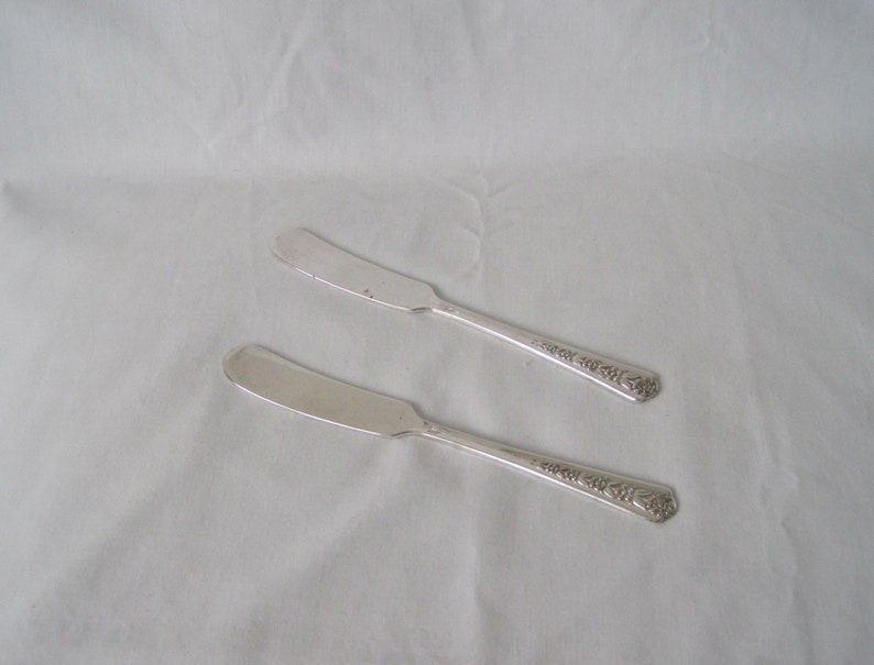 Set of Two American Silverplate Flat-Handled Butter KnivesButter Spreaders in DELIGHT