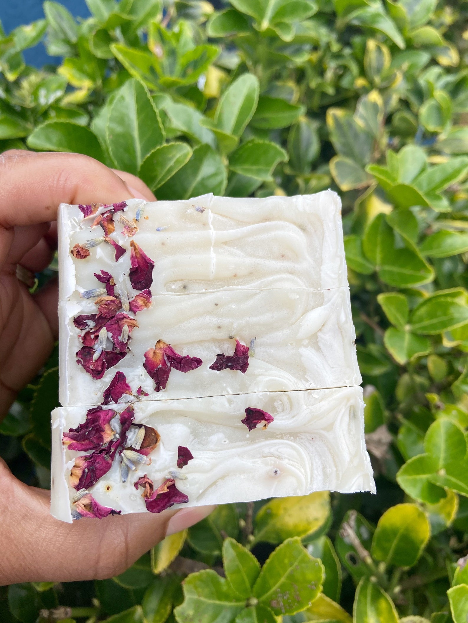 Apple Cider Vinegar Yoni Soap Yoni PH Balanced Soap Best Etsy