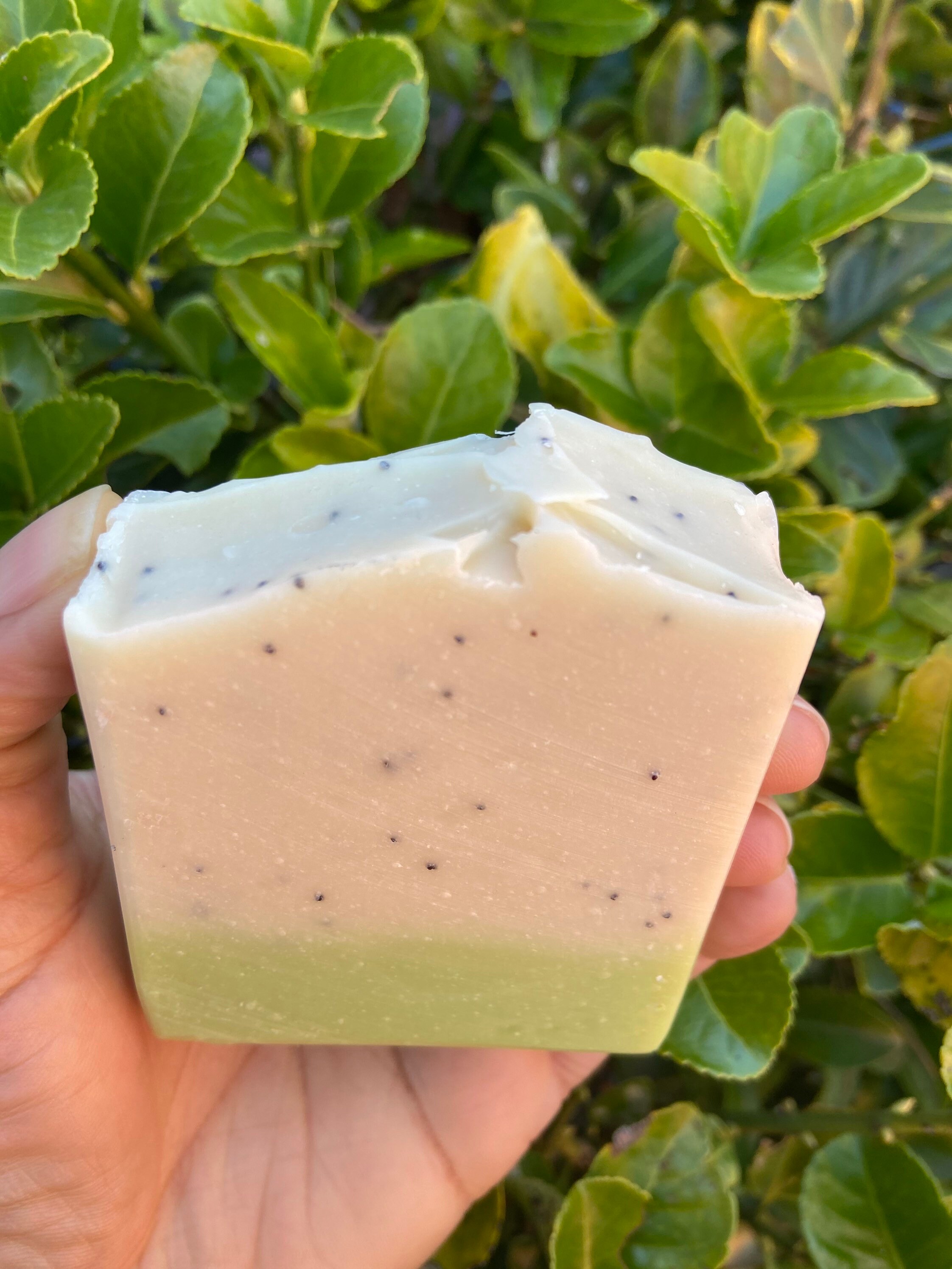Eucalyptus Spearmint Soap: All Natural Handmade Soap - Etsy