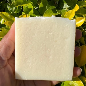 May include: A white bar of soap, likely handmade, with a slightly textured surface. The soap is being held in a hand against a backdrop of green foliage.