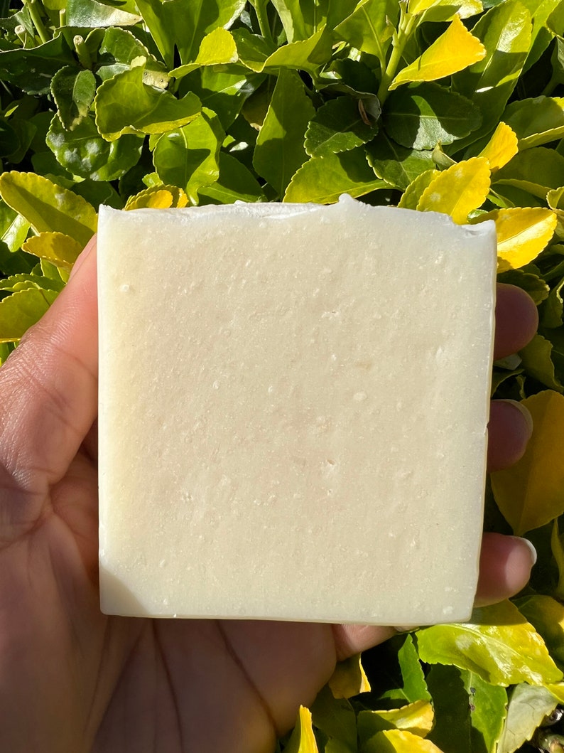May include: A white bar of soap, likely handmade, with a slightly textured surface. The soap is being held in a hand against a backdrop of green foliage.