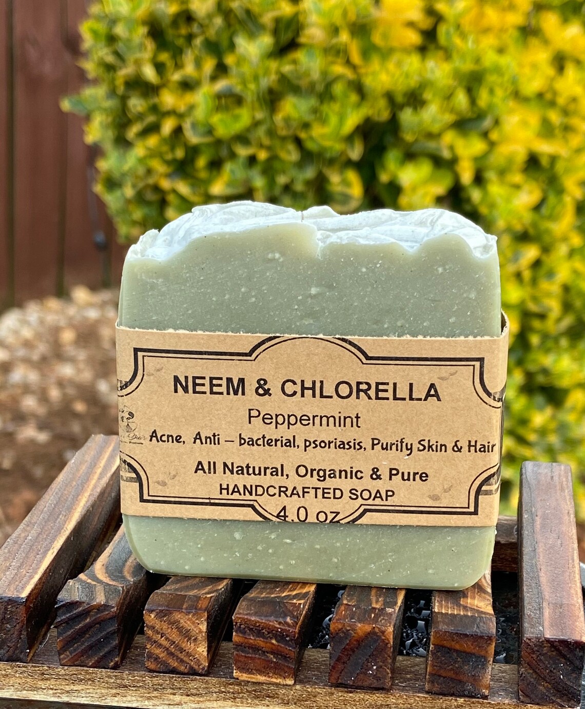 Neem & Chlorella Skin Detox Soap Natural Shampoo Bar Anti Etsy