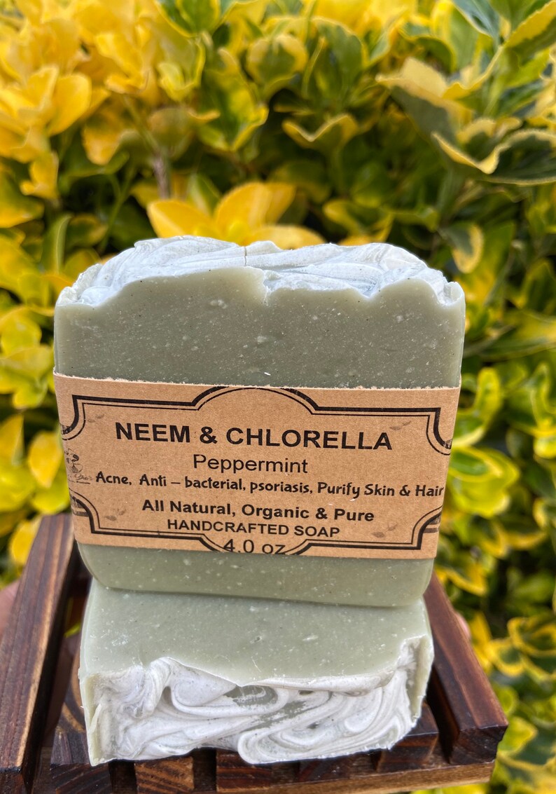 Neem & Chlorella Skin Detox Soap Natural Shampoo Bar Anti Etsy
