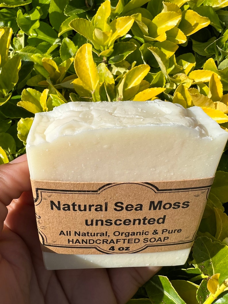 May include: A white bar of soap with a brown label that reads "Natural Sea Moss unscented All Natural, Organic & Pure HANDCRAFTED SOAP 4 oz".