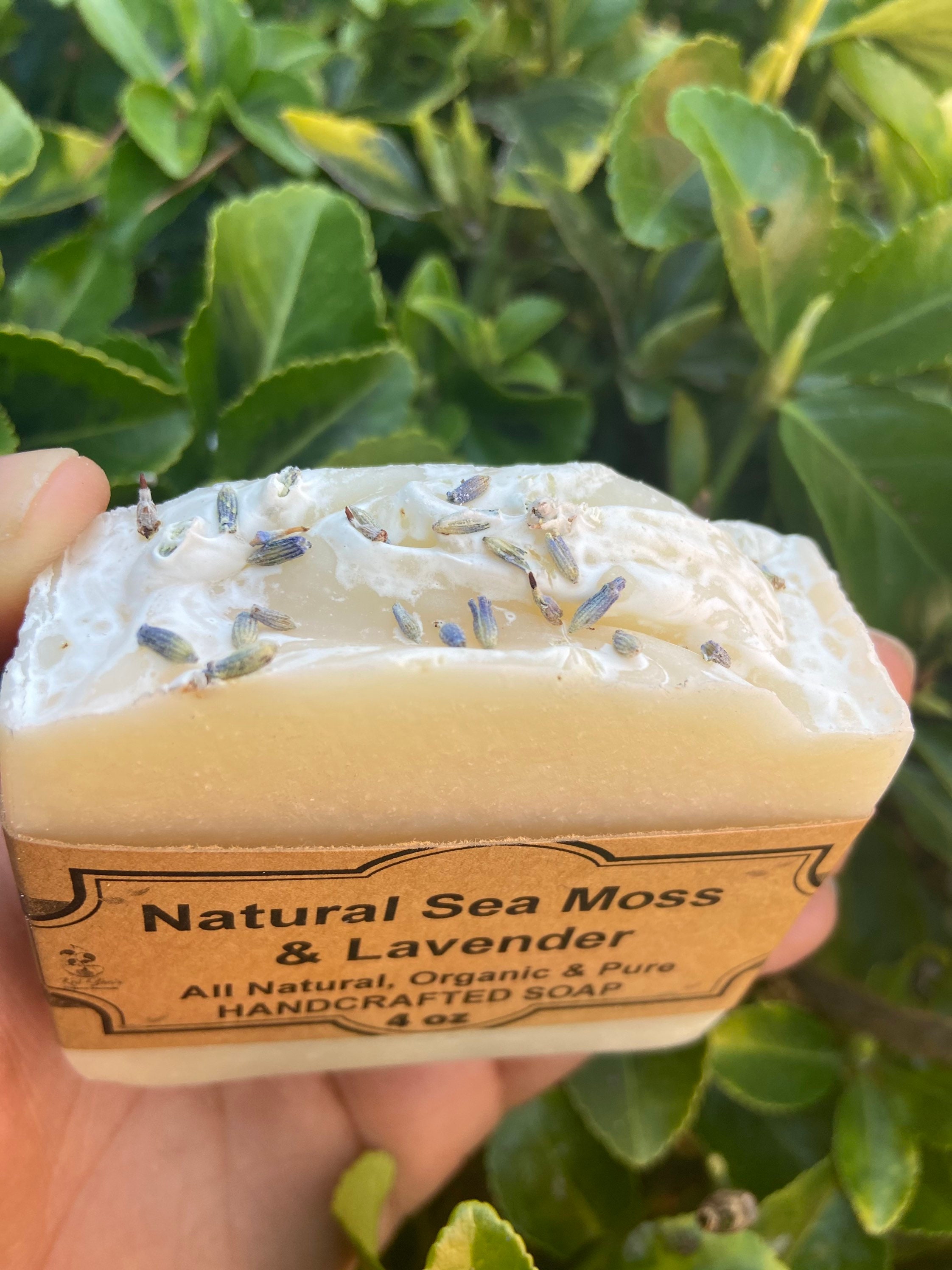 Sea Moss And Lavender All Natural Soap Moisturizer Etsy