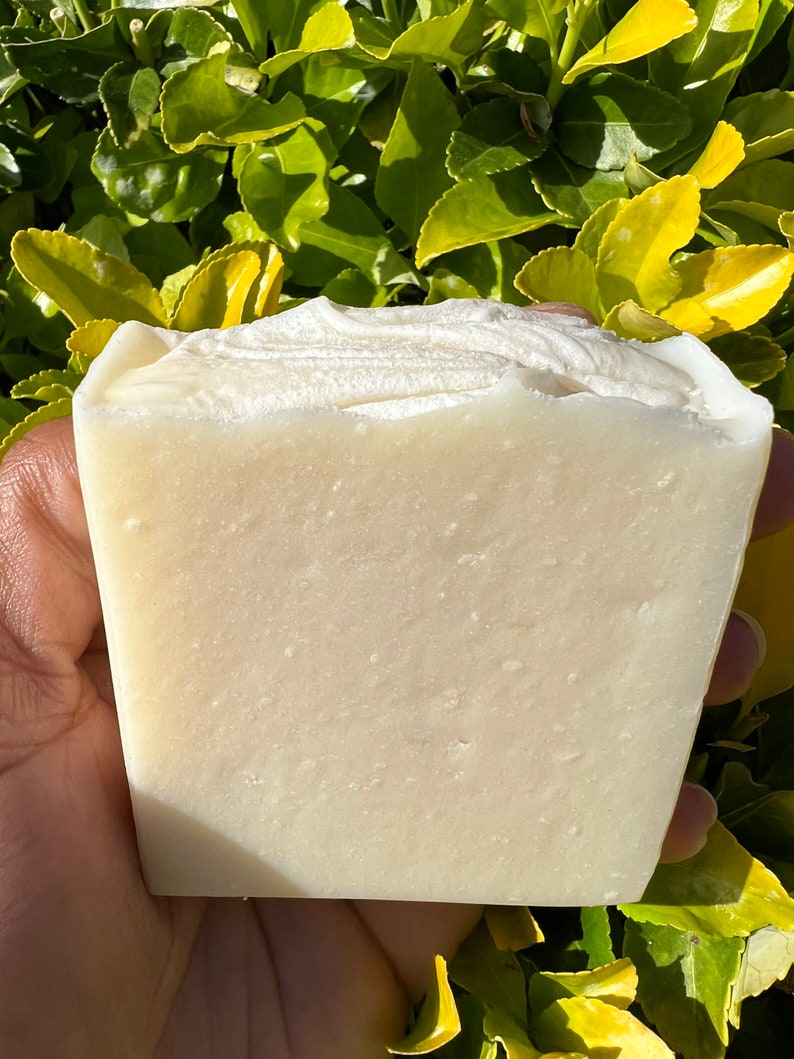 May include: A white bar of soap with a slightly textured surface.