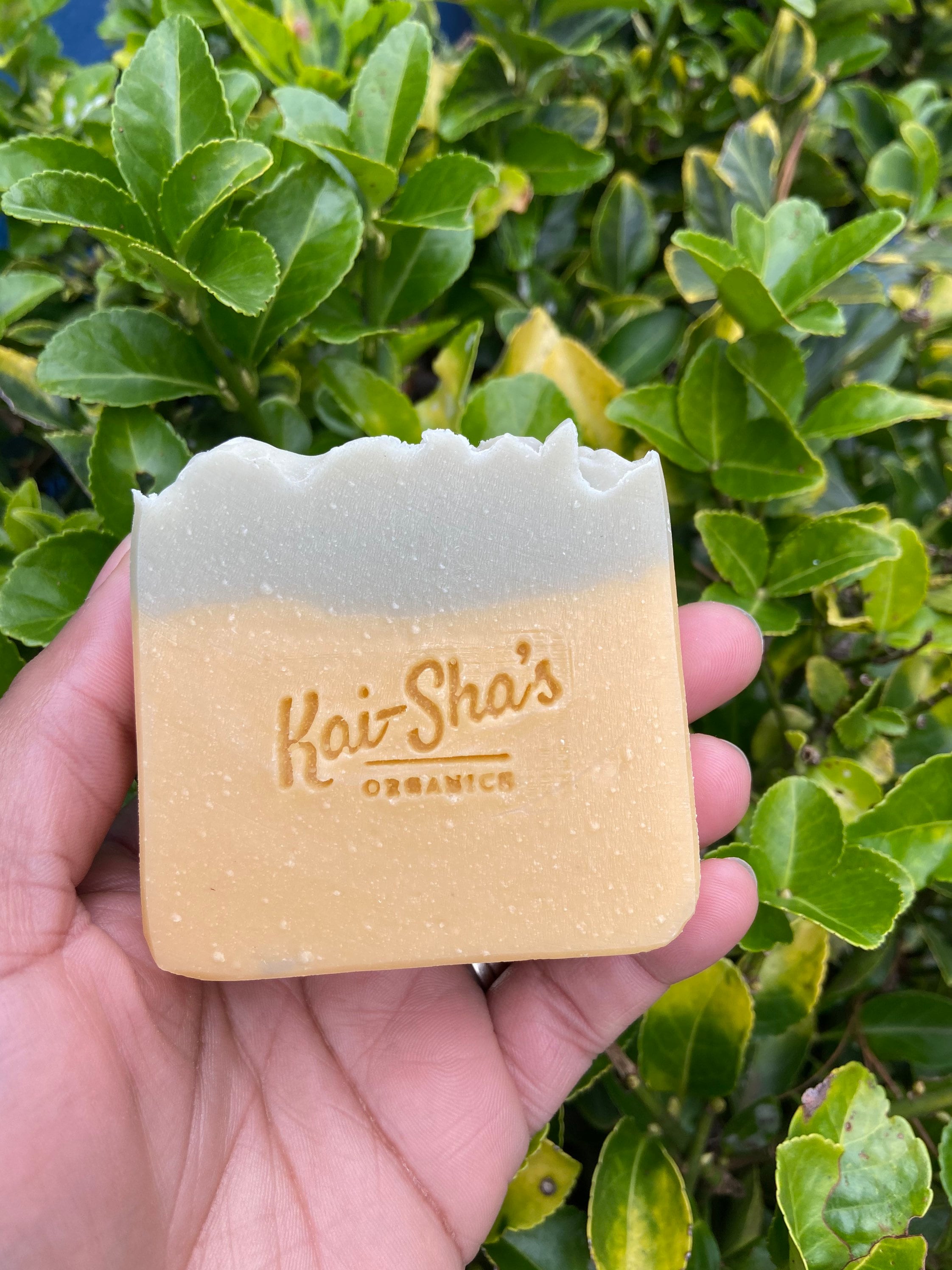 Lemongrass & Sage Soap Natural Soap Handmade Soap Skin Etsy