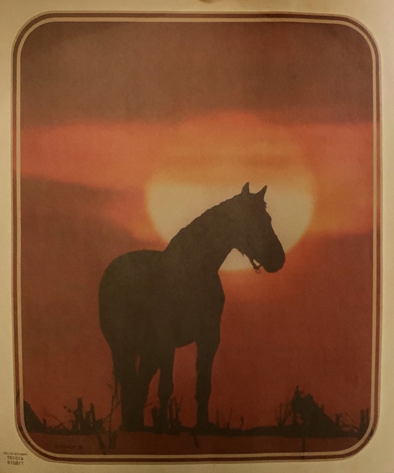 Original Vintage Black Stallion Horse Iron On Transfer 