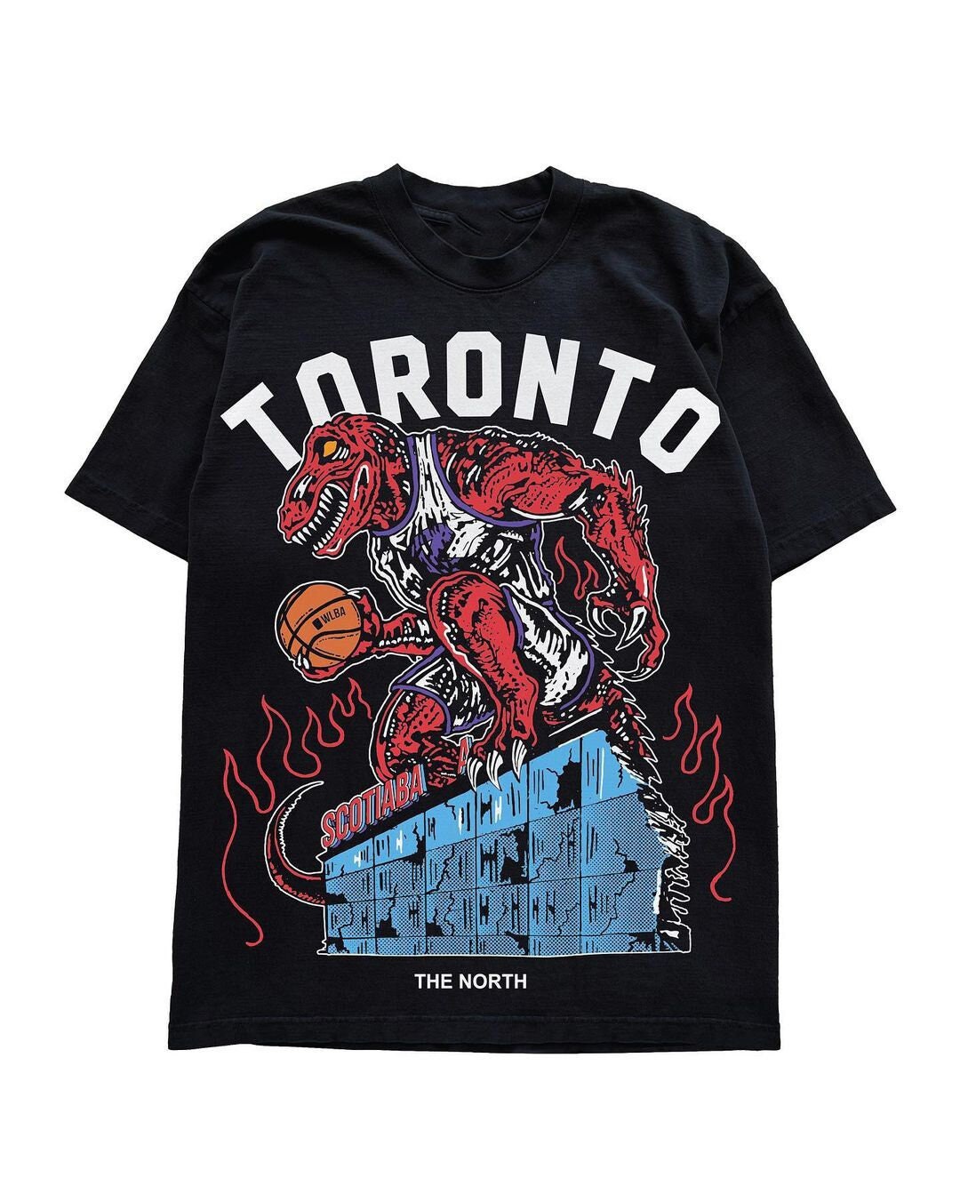 Vintage NBA Toronto Raptors Black T-Shirt Unisex Cotton Reprint All Size