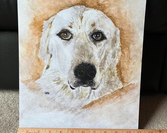 Great Pyrenees 11x14 Art Print Pyrenean Mountain Dog
