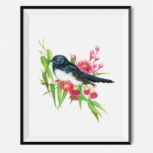 Willie Wagtail Australische Inheemse Vogel Gum Bloemen Fauna Flora Wall Art Print A4