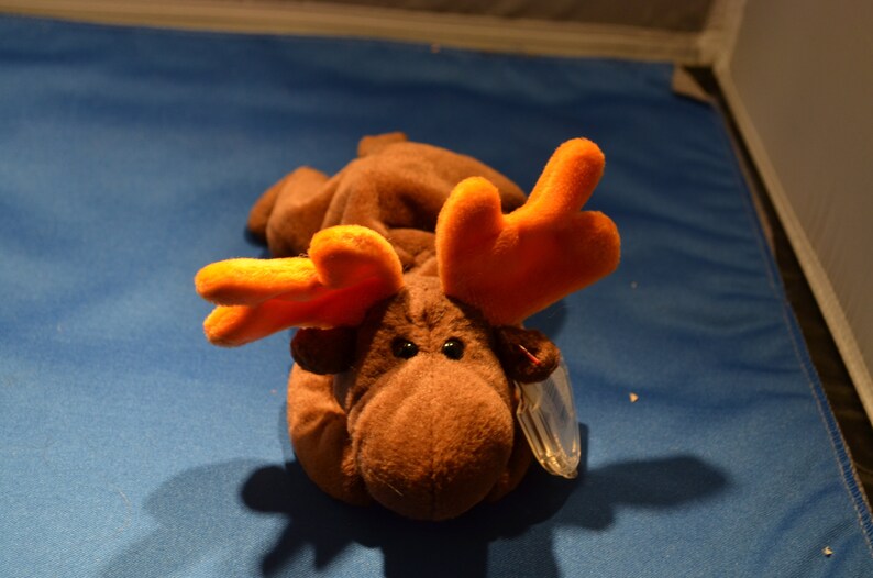 moose beanie baby