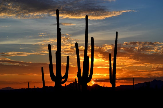 Landscape Size Arizona Desert Sunset Photo Instant ...