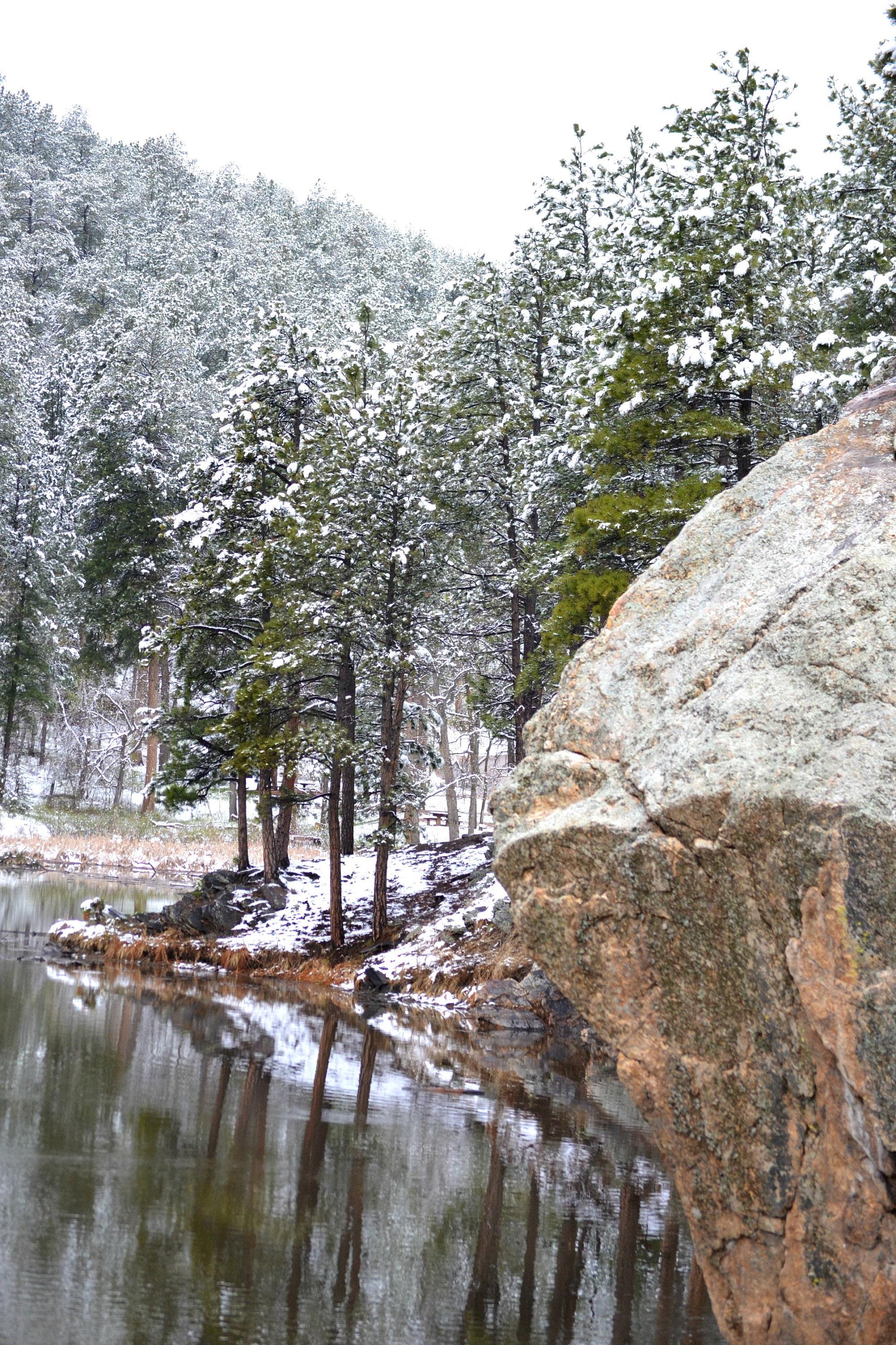 Portrait Size Snow Scene From Custer State Park South Dakota Etsy