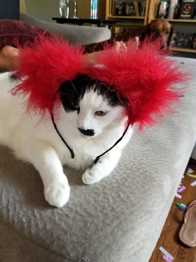 Red Fluffy Cat Ears Neon Red Cat Ears Red Festival Feather Etsy
