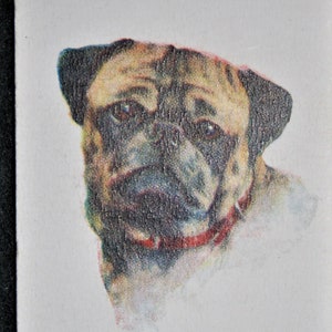 Tarjeta de retrato de cabeza de perro vintage PUG