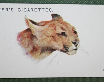 i wanna smoke a cigarette Wanna Grab a Smoke