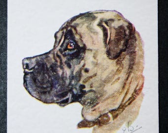 Illustrerat hundkort med BULL MASTIFF vintagemotiv