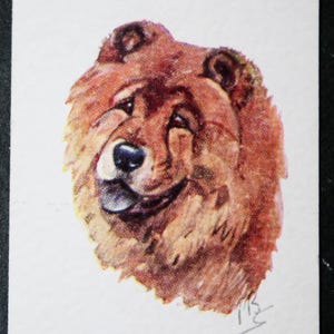 CHOW CHOW Original Vintage Tarjeta de retrato de perro ilustrado