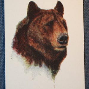 GRIZZLY BEAR Carta della fauna selvatica vintage originale del 1931