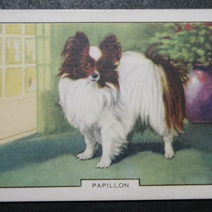 PAPILLON Original 1938 Vintage Tarjeta Ilustrada