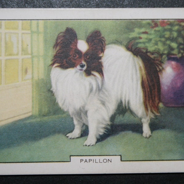 PAPILLON   Original 1938 Vintage Illustrated Card