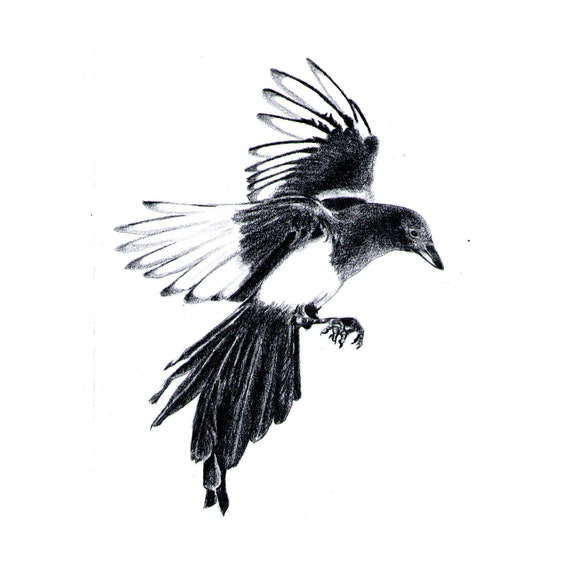 La Pie Coeur Voleur Bijoux Collier Oiseau Coeur En Cristal Anatomique Gothique Noir Coeur Collier Bijou De Loiseau Rare Amant Doiseau Collier