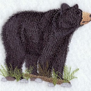 May include: A black bear standing on its hind legs with its paws on a rock and grass. The bear is looking to the right.