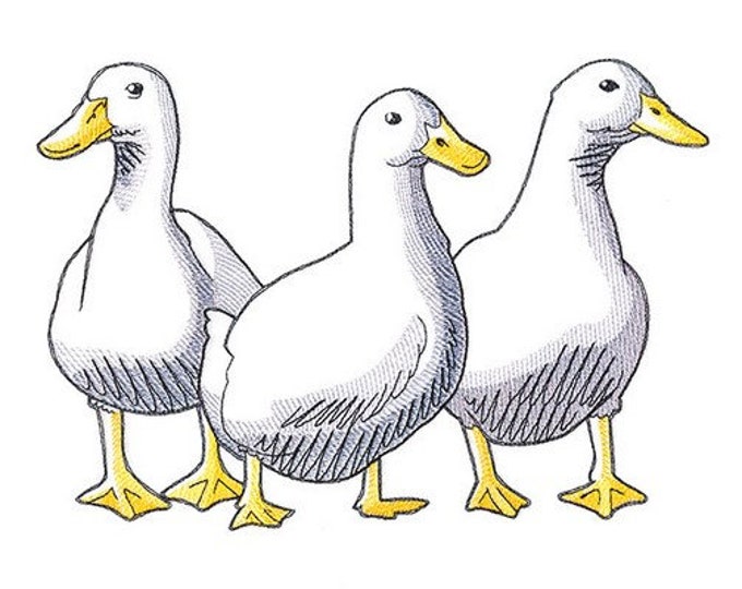 Duck trio kitchen dish hand towel custom embroidered personalized
