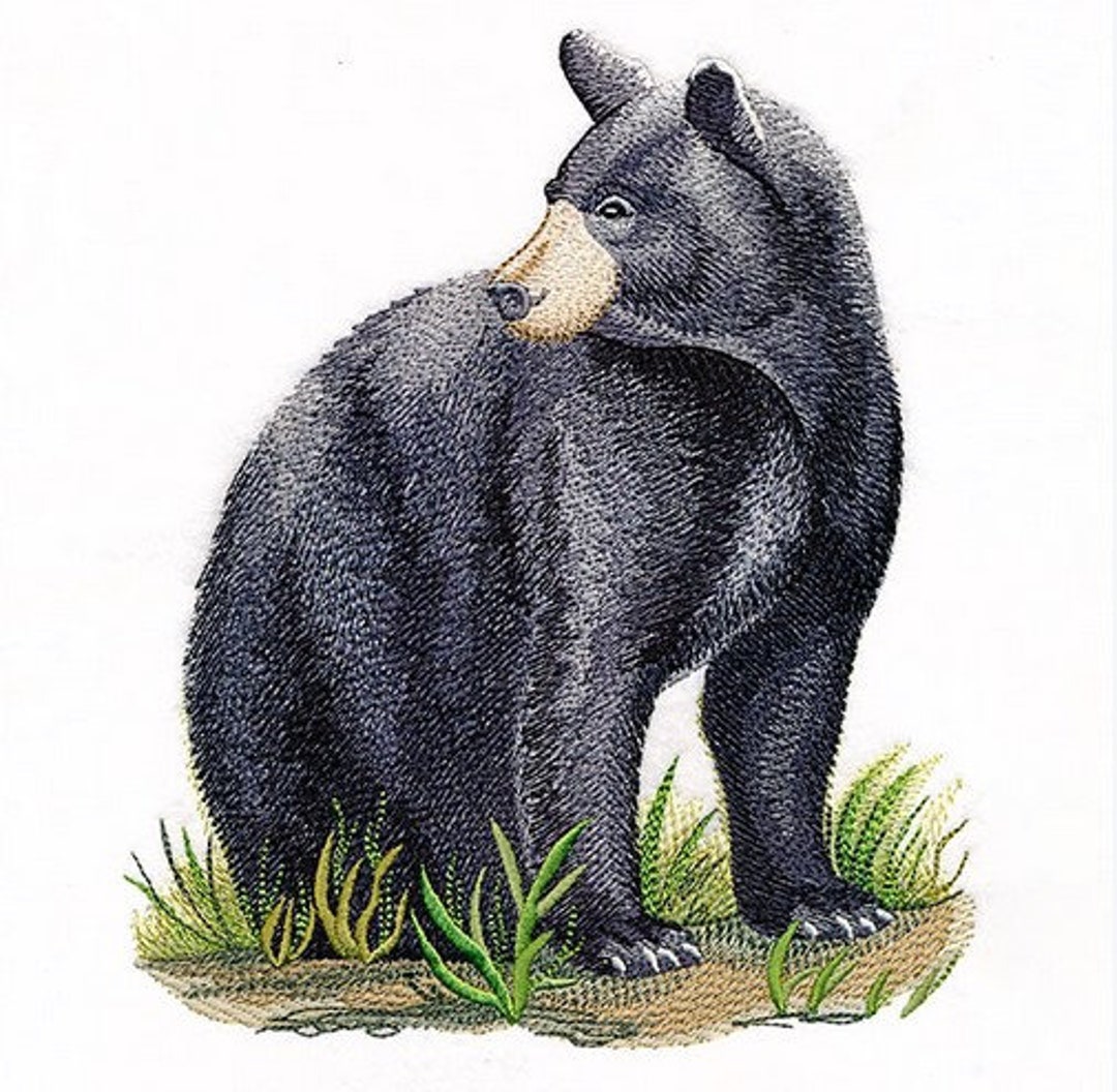 Black Bear Bath Hand Towel Custom Embroidered Personalized Etsy