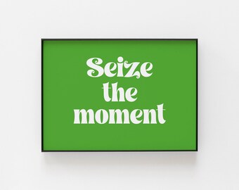 May include: A green framed print with white text that reads "Seize the moment".