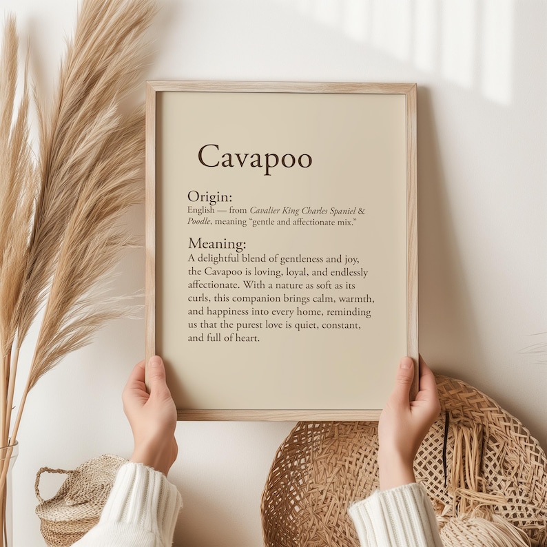 K&ouml;nnte beinhalten: Ein gerahmter Druck mit dem Wort "Cavapoo" oben. Der Druck enth&auml;lt den Ursprung und die Bedeutung der Hunderasse Cavapoo. Der Hintergrund ist hellbeige und der Rahmen helles Holz.