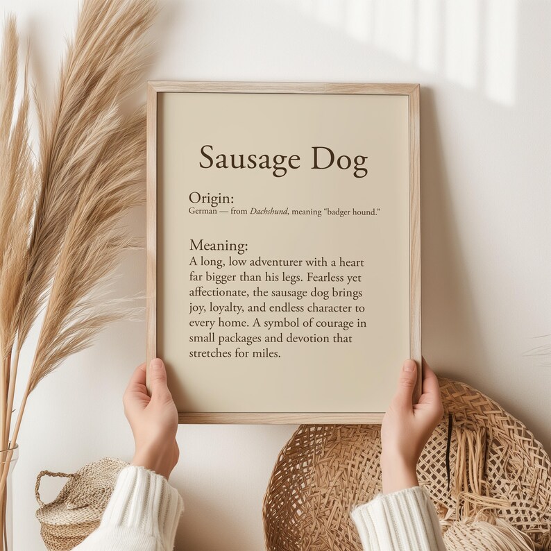 May include: A framed print with the text "Sausage Dog" and information about the breed's origin and meaning. The print is held by hands and features a beige background with black text. Decorative elements include dried plants and a woven basket.