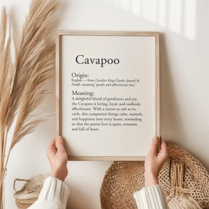 K&ouml;nnte beinhalten: Ein gerahmter Druck mit dem Wort "Cavapoo" oben. Der Text darunter beschreibt Herkunft und Bedeutung der Hunderasse Cavapoo. Der Druck wird von einer Person gehalten, mit dekorativen getrockneten Pflanzen und einem geflochtenen Korb im Hintergrund.