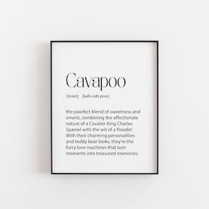 May include: Black and white printable definition of the word "Cavapoo" with the pronunciation [kah-vuh-poo] and a description of the breed as a mix of Cavalier King Charles Spaniel and Poodle.