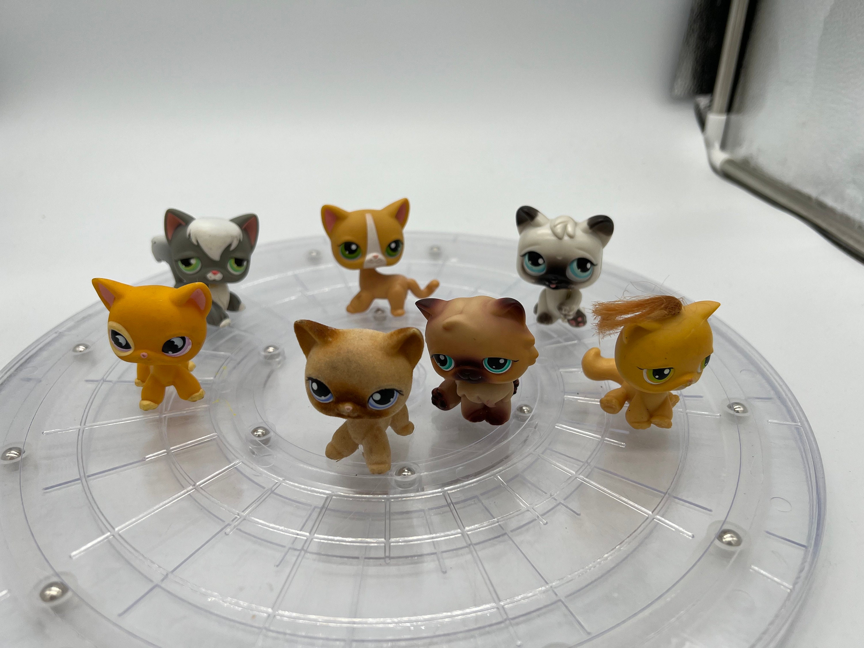 Retired Collection of Unusual Littlest Pet Shop LPS Mixed Pets with  Interchangeable Heads and Snap on Accessories