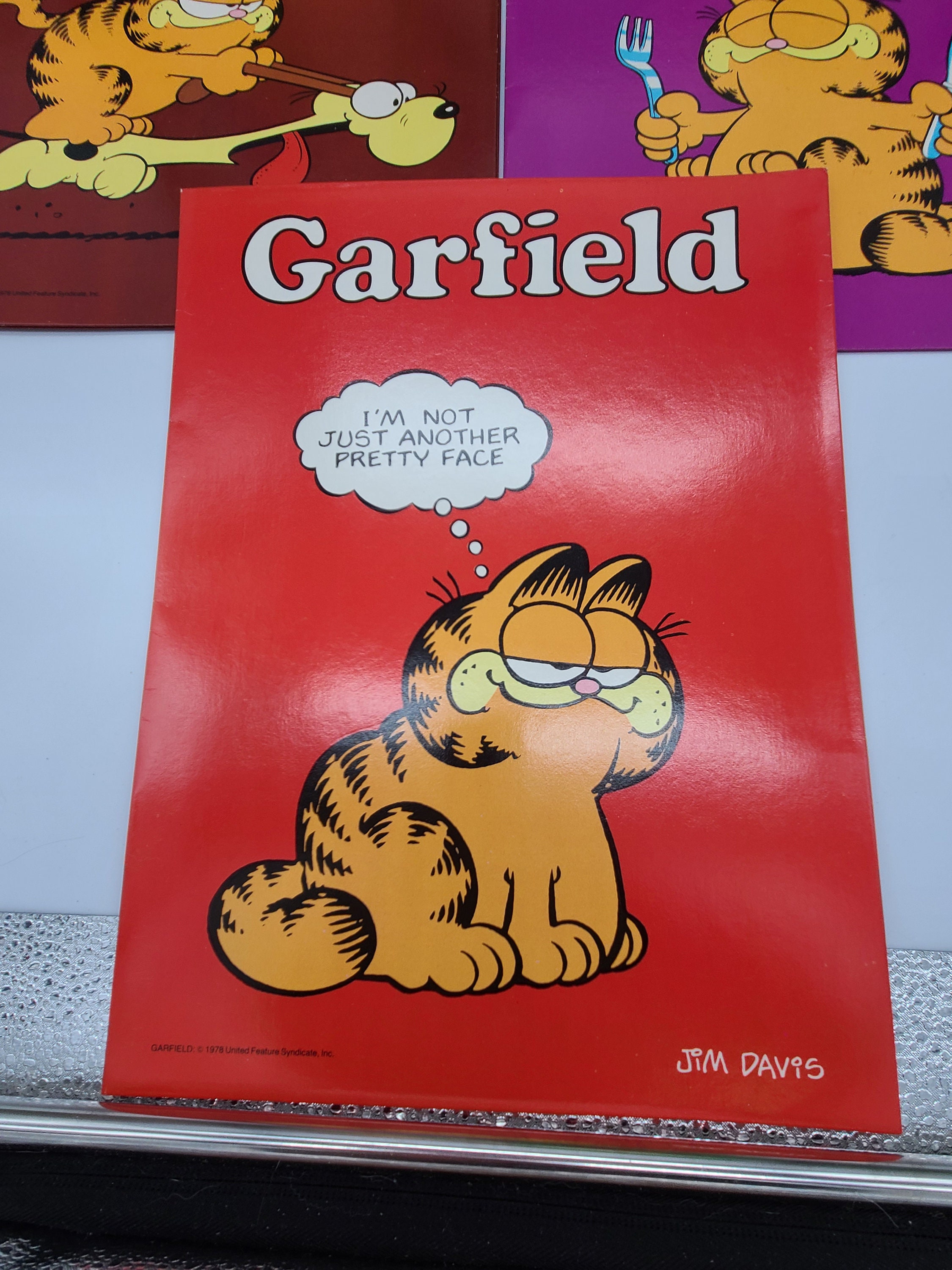 Vintage Garfield 1978 Portfolio Mead School Folders. Sold Etsy