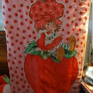 1980&#39;s Strawberry Shortcake Sleeping Bag.
