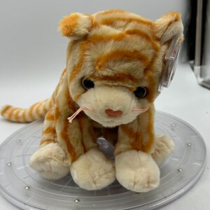 TY Beanie Buddy is Amber the Tabby Cat with Hang Tag and Tush Tag. New old stock!