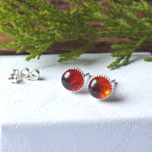 May include: A pair of amber-colored stud earrings with a silver-colored beaded border. The earrings are displayed on a white surface, with a sprig of green foliage in the background. The earring backs are also visible.