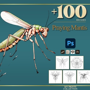 May include: A digital illustration of a praying mantis in green, orange, and white, set against a teal background. The image includes the text "+100 BRUSHES Praying Mantis" and icons for Photoshop and other design tools. Also included are several insect illustrations.